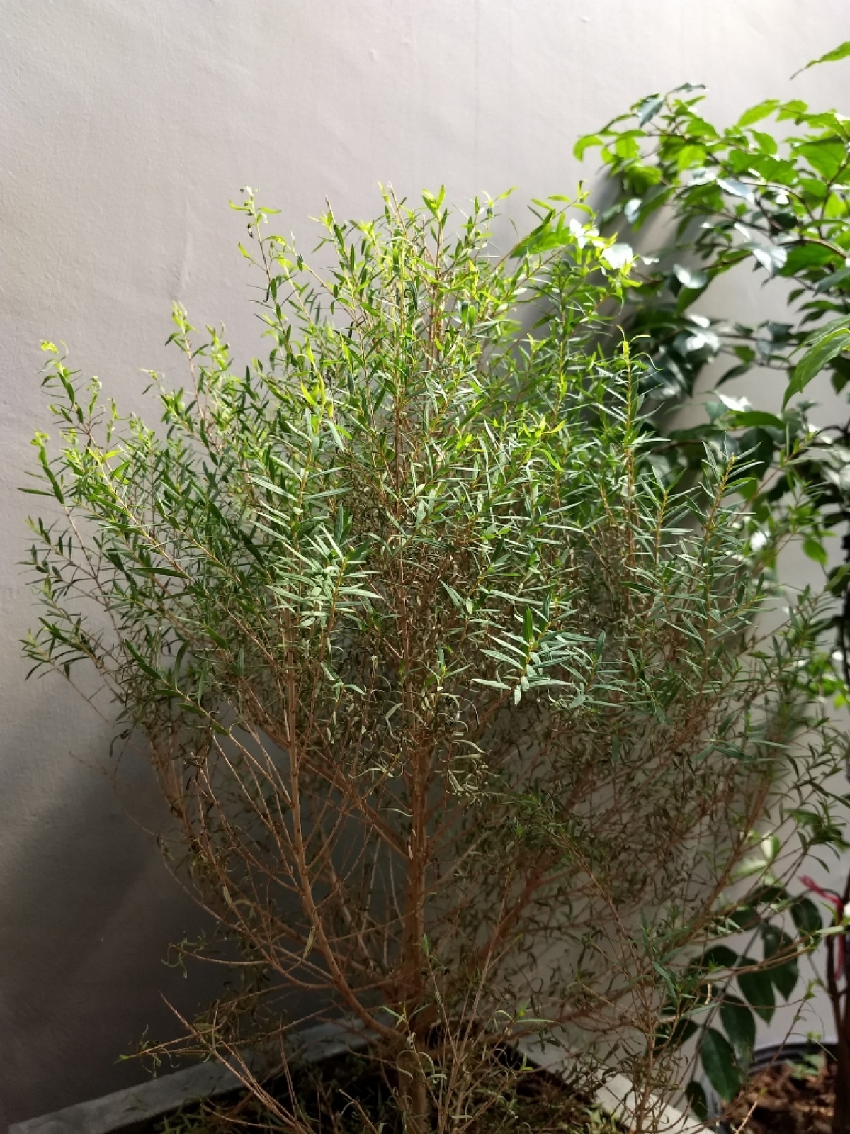 gallery/2019-02-04 10.40.30