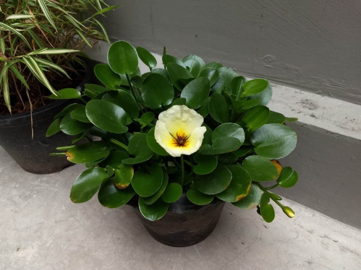 gallery/2019-01-07 14.30.57