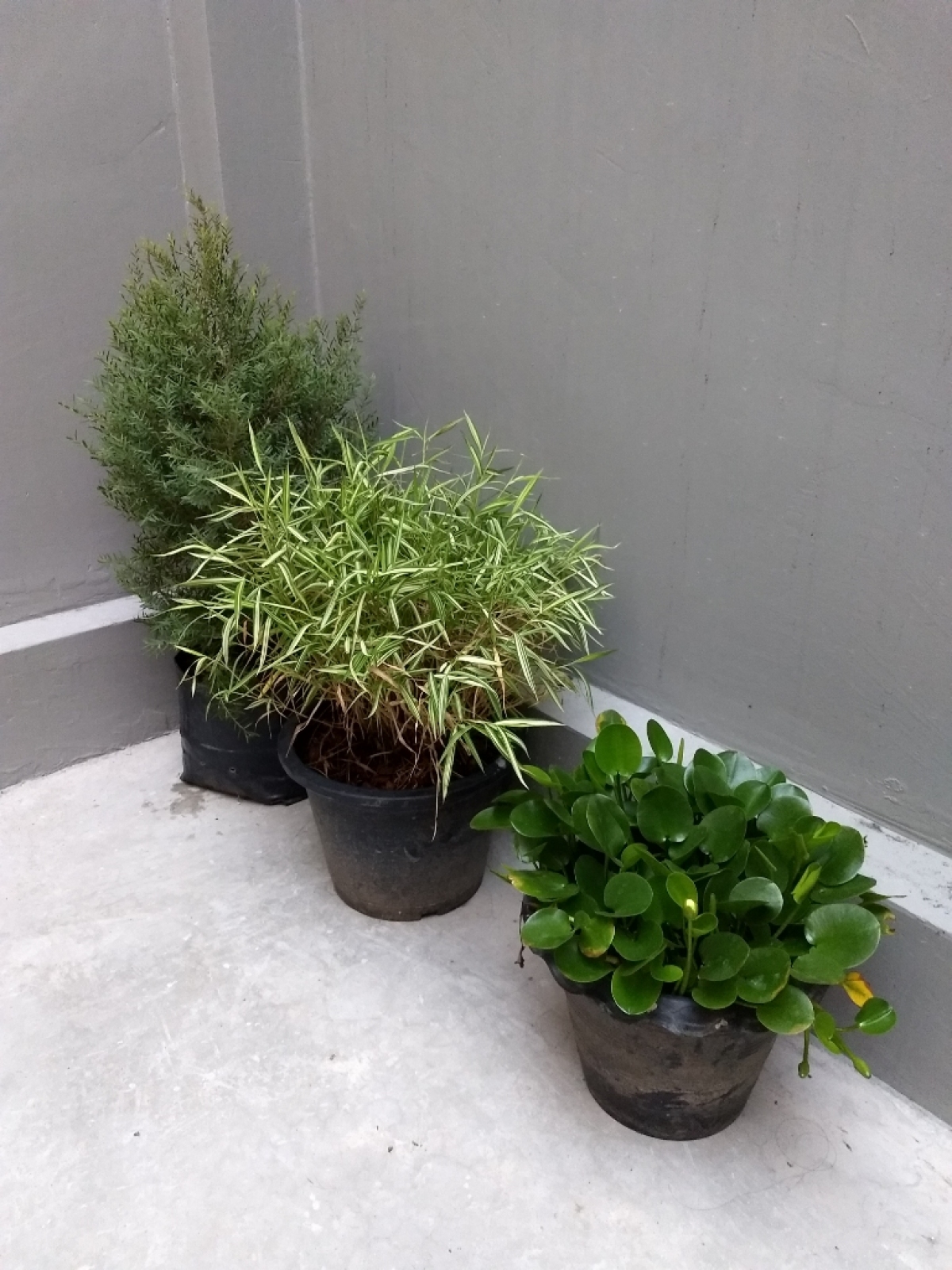 gallery/2019-01-07 07.05.53