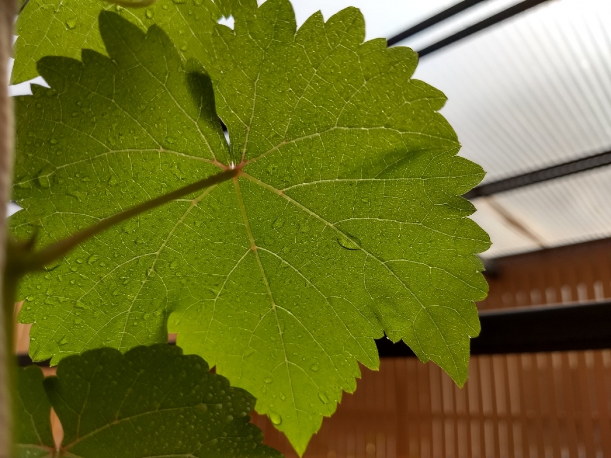 gallery/2019-02-04 11.00.12