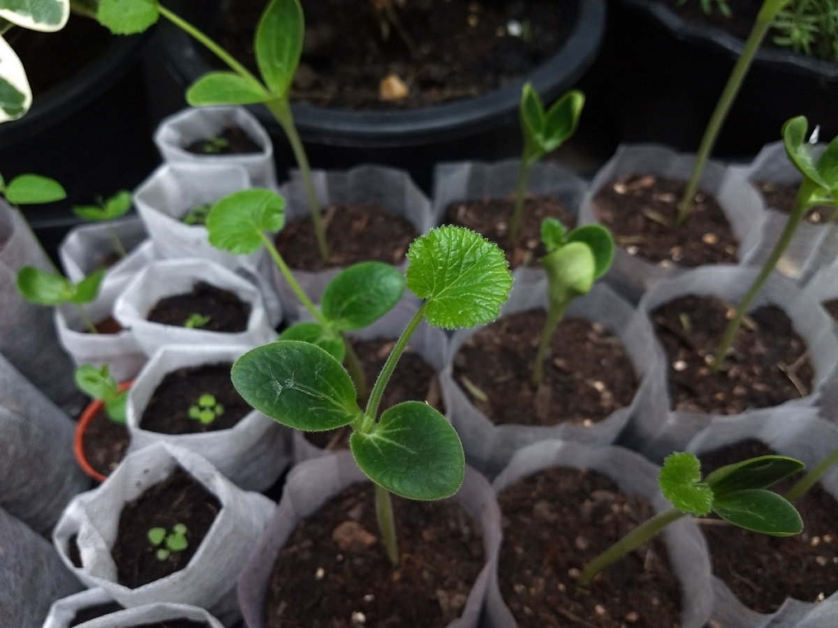 gallery/2019-09-07 17.17.17