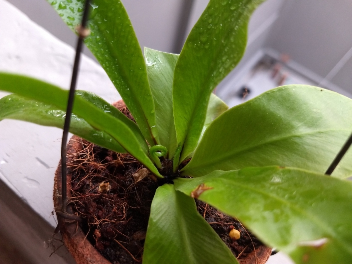 gallery/2019-04-10 07.08.00